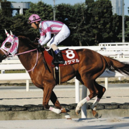 競馬予想倶楽部・改