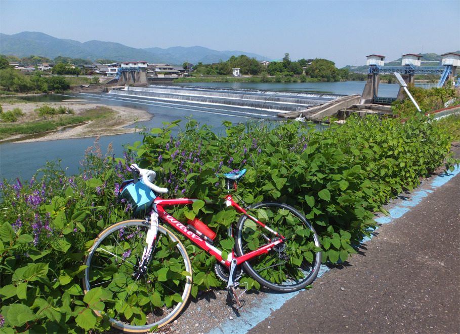画像7