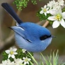 jw.orgエホバの証人と私の掲示板