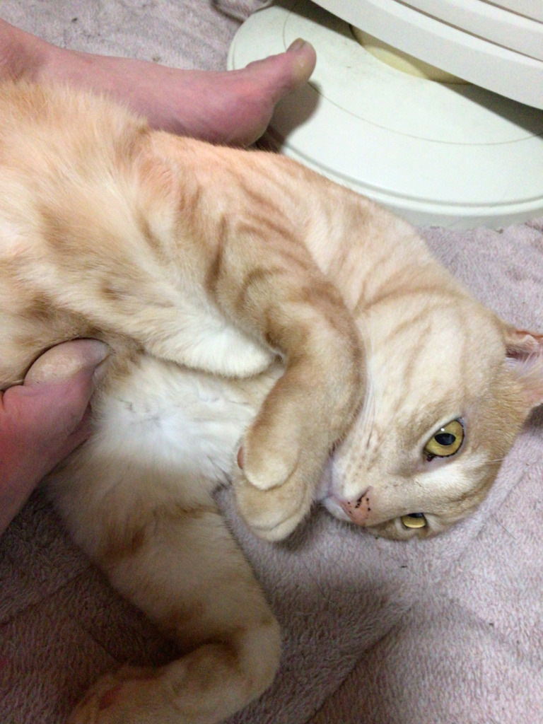 画像2