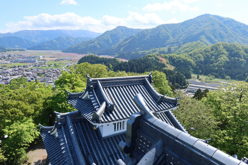 画像1
