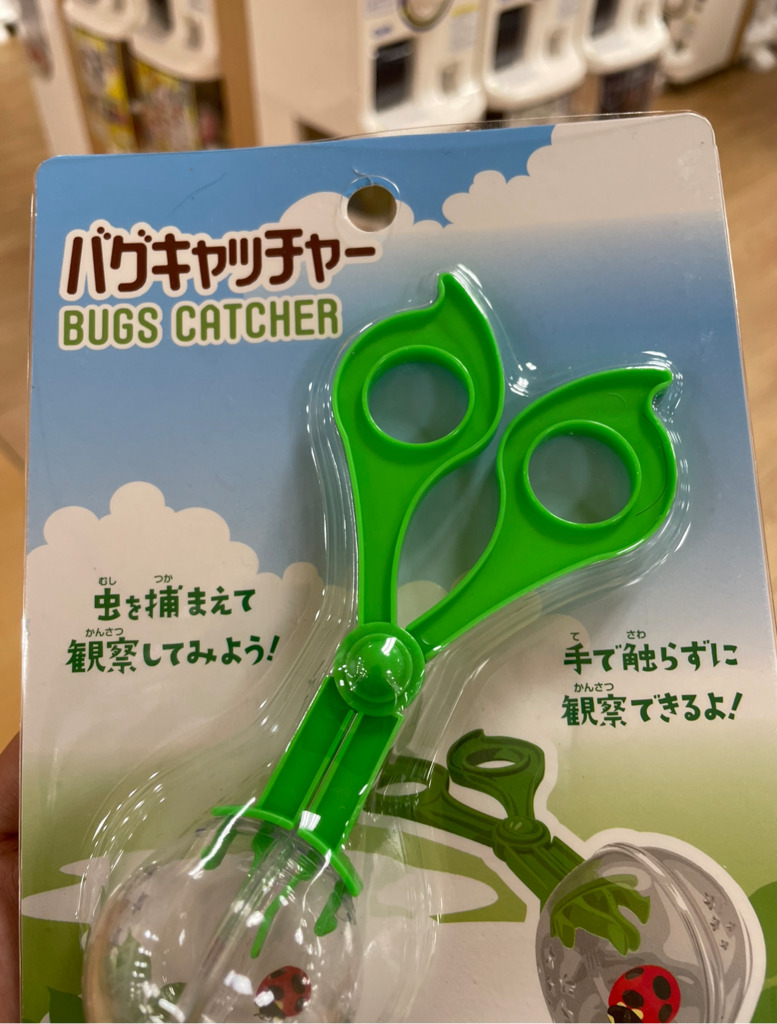 画像1