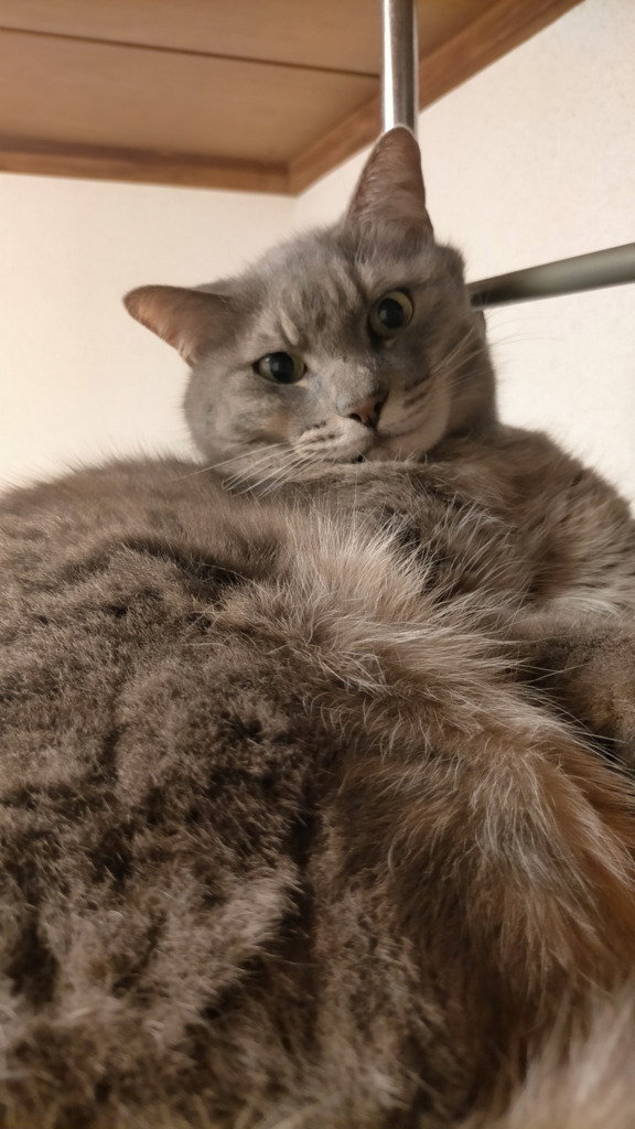 画像1