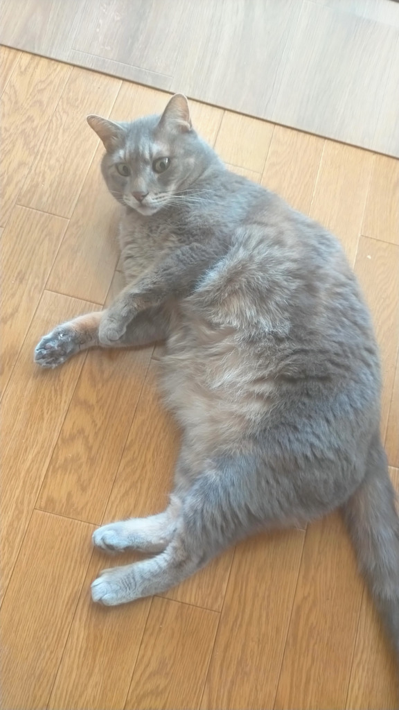 画像1
