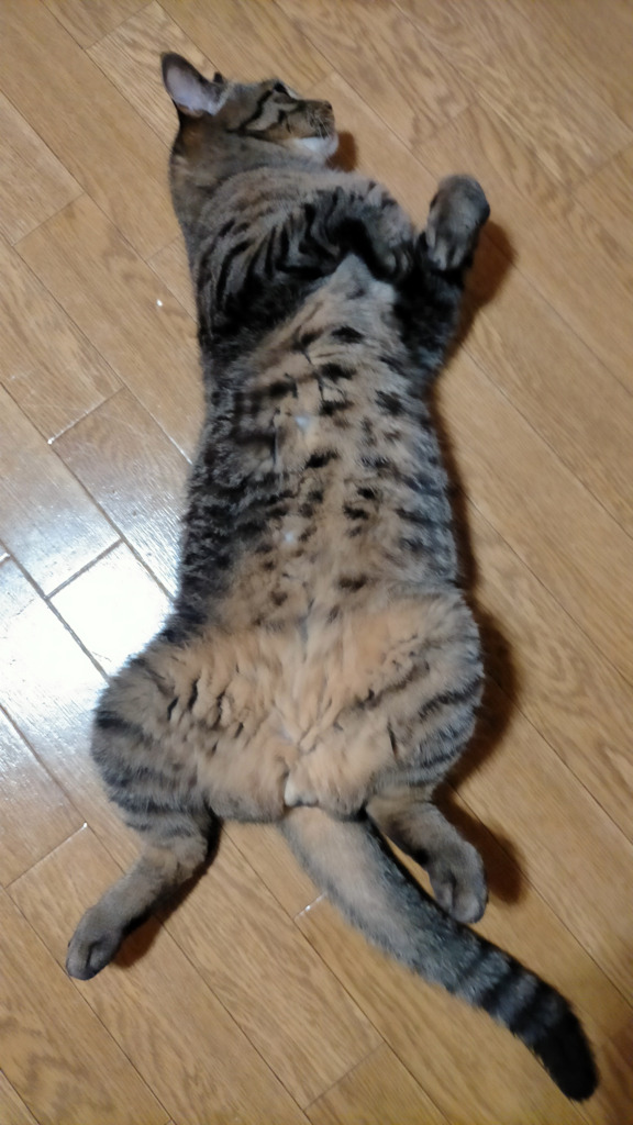 画像1