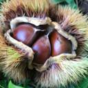 岐阜県バレーボール協会掲示板