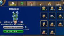 朝顔の鉢植