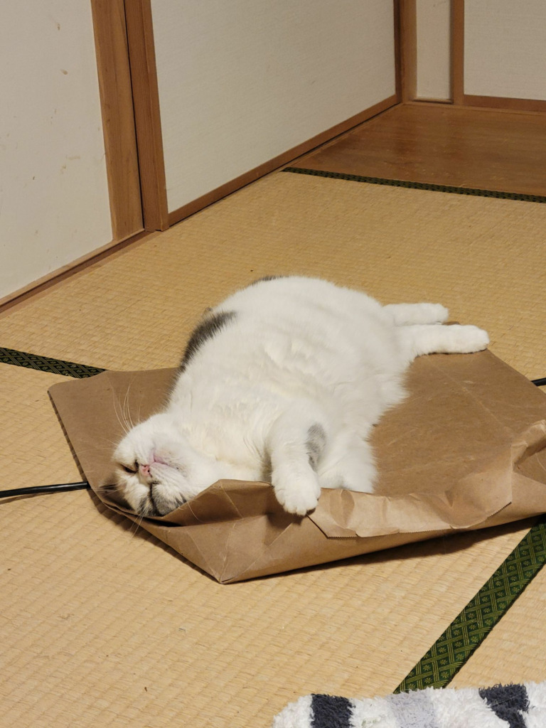 画像6