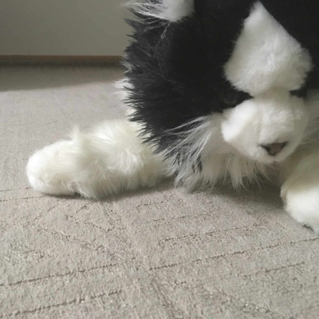 画像1