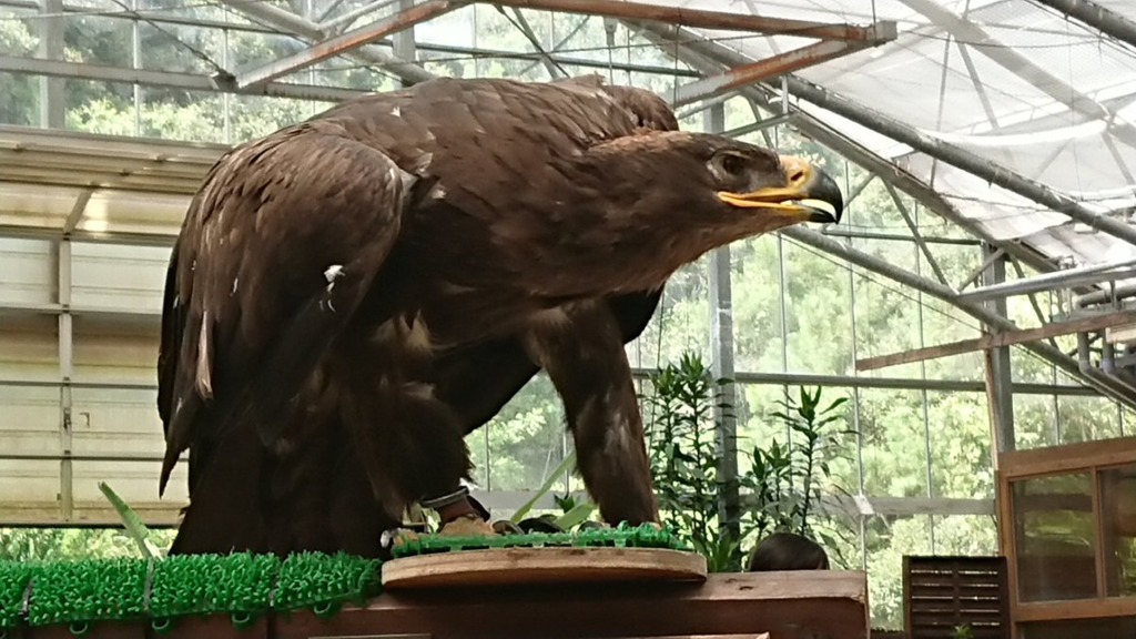 画像7