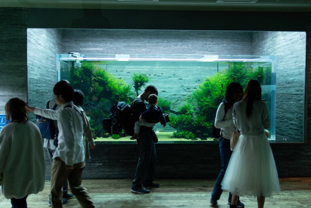 自然水景