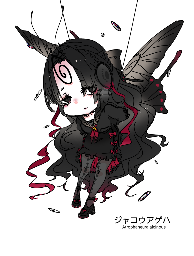 画像1