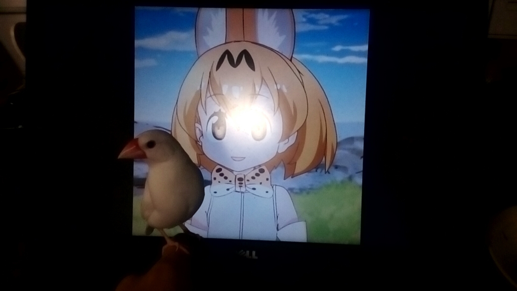 画像1