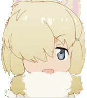 b9b91e8d62bea.jpg