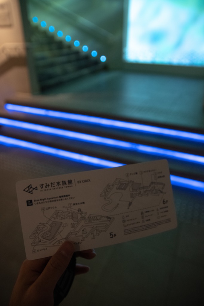 into the すみだ水族館