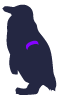 fac2934455018.png