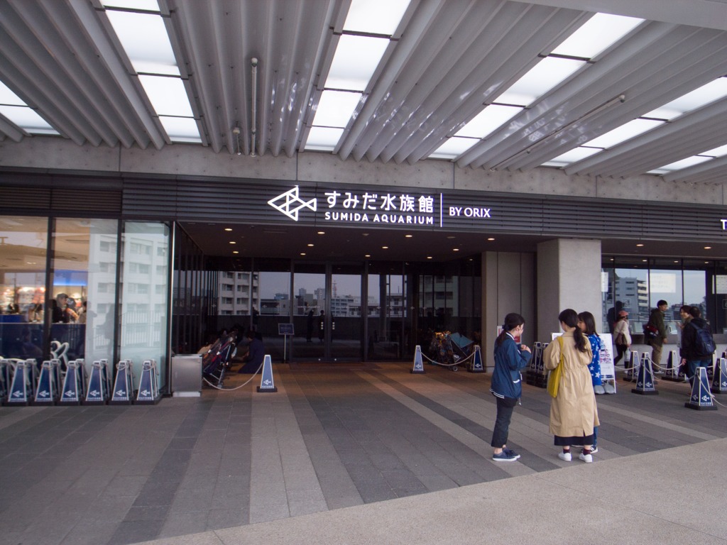 すみだ水族館だ！