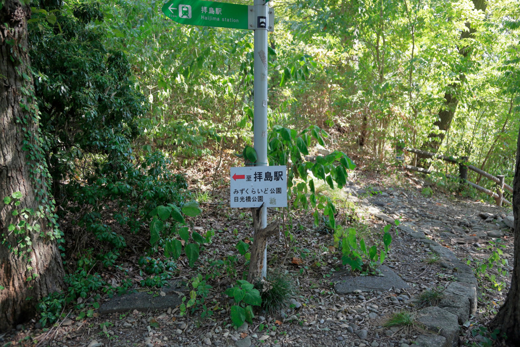 画像6