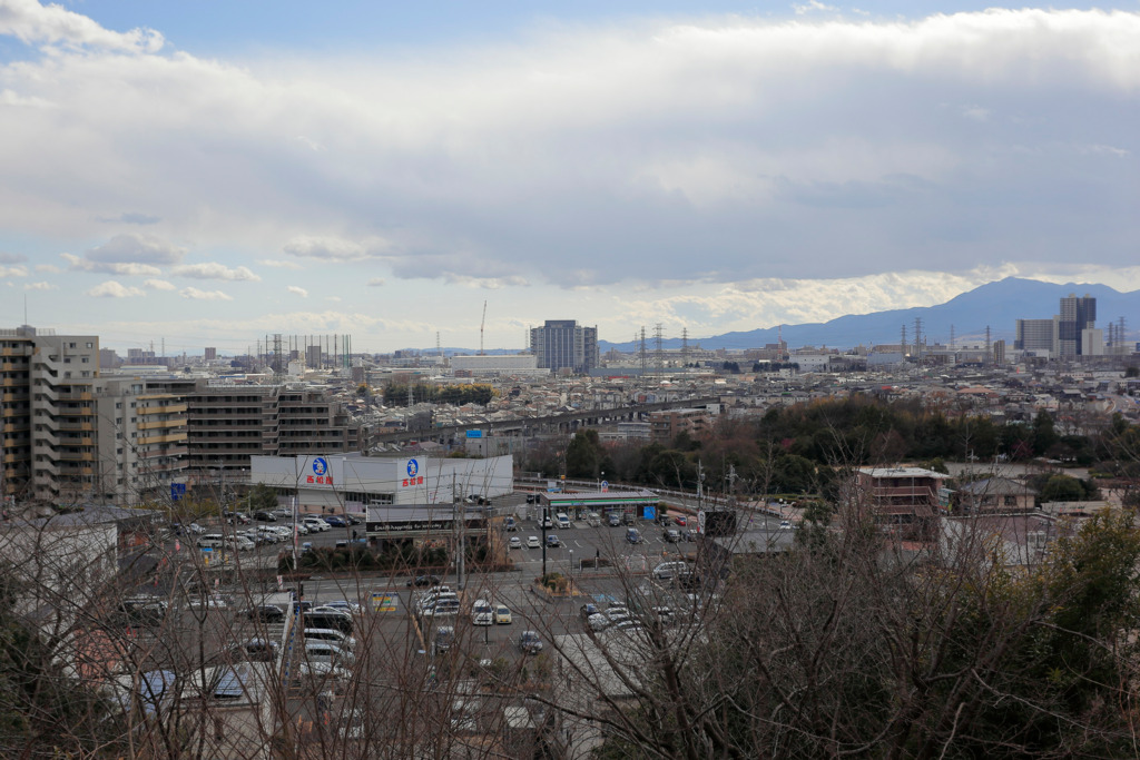 画像8