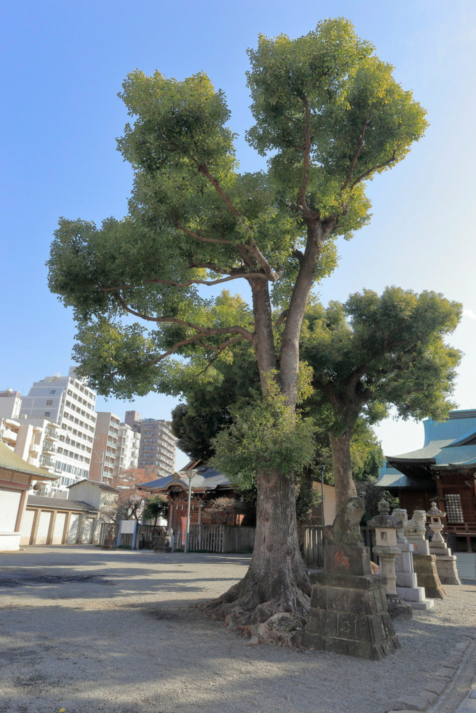 画像1