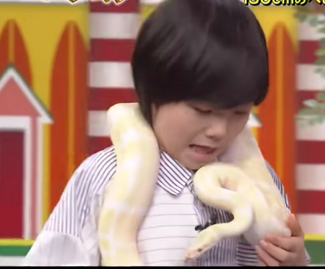 画像6