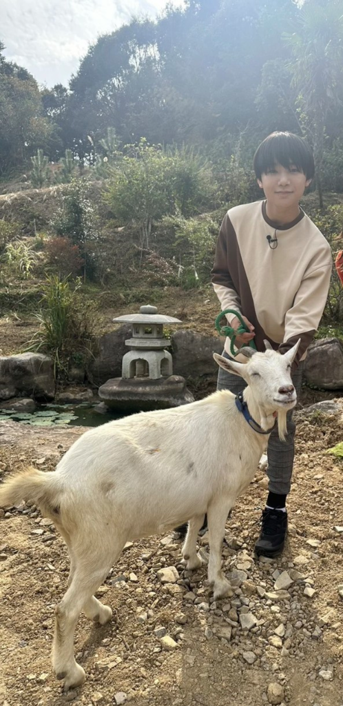 画像10