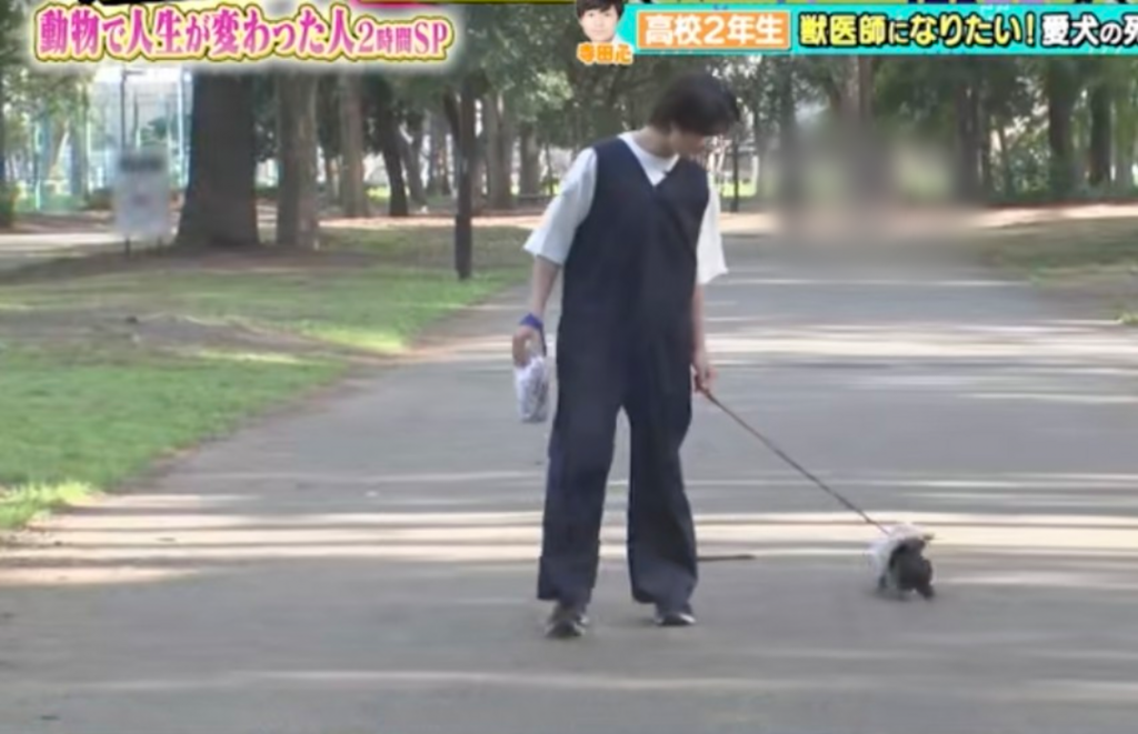画像10