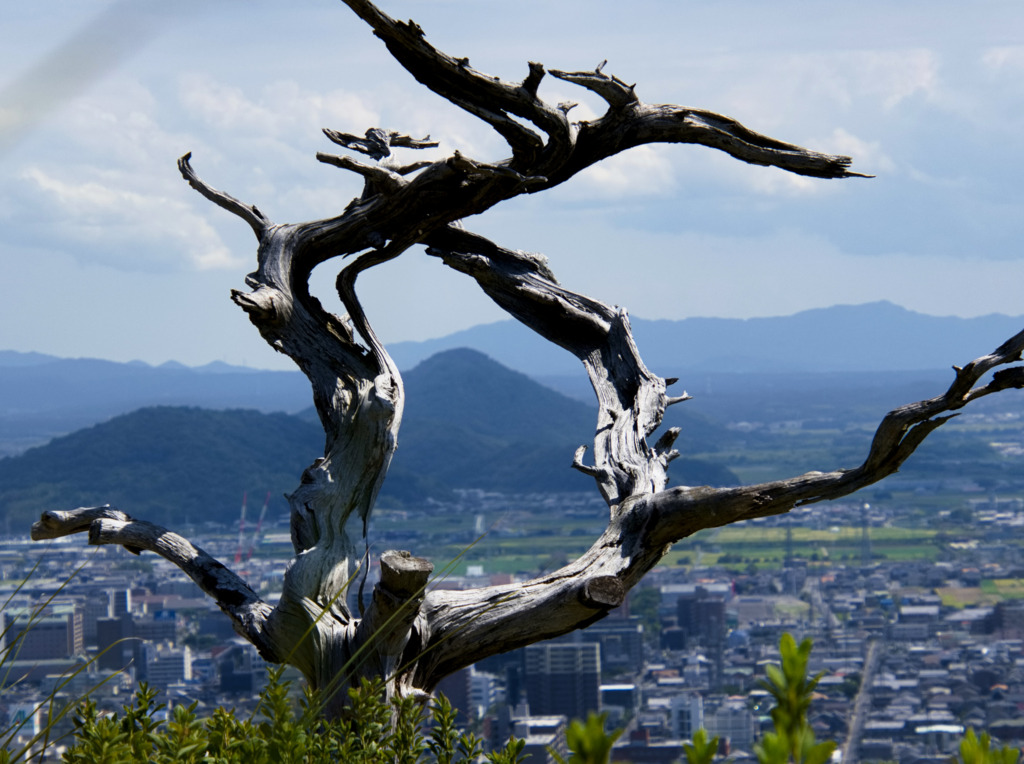 画像10
