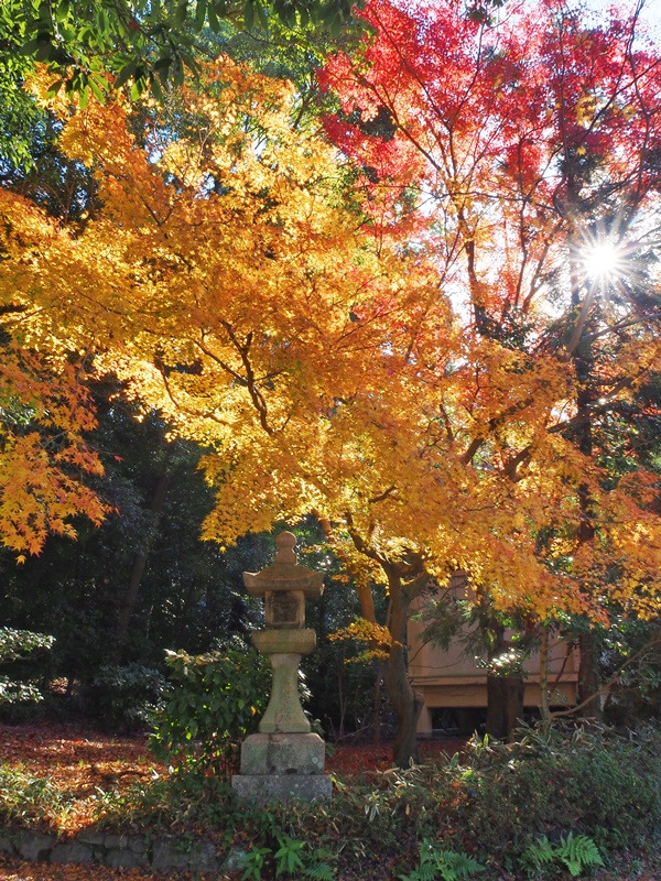 画像10
