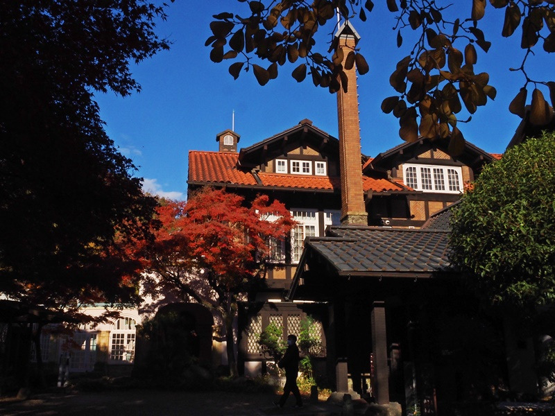 画像6
