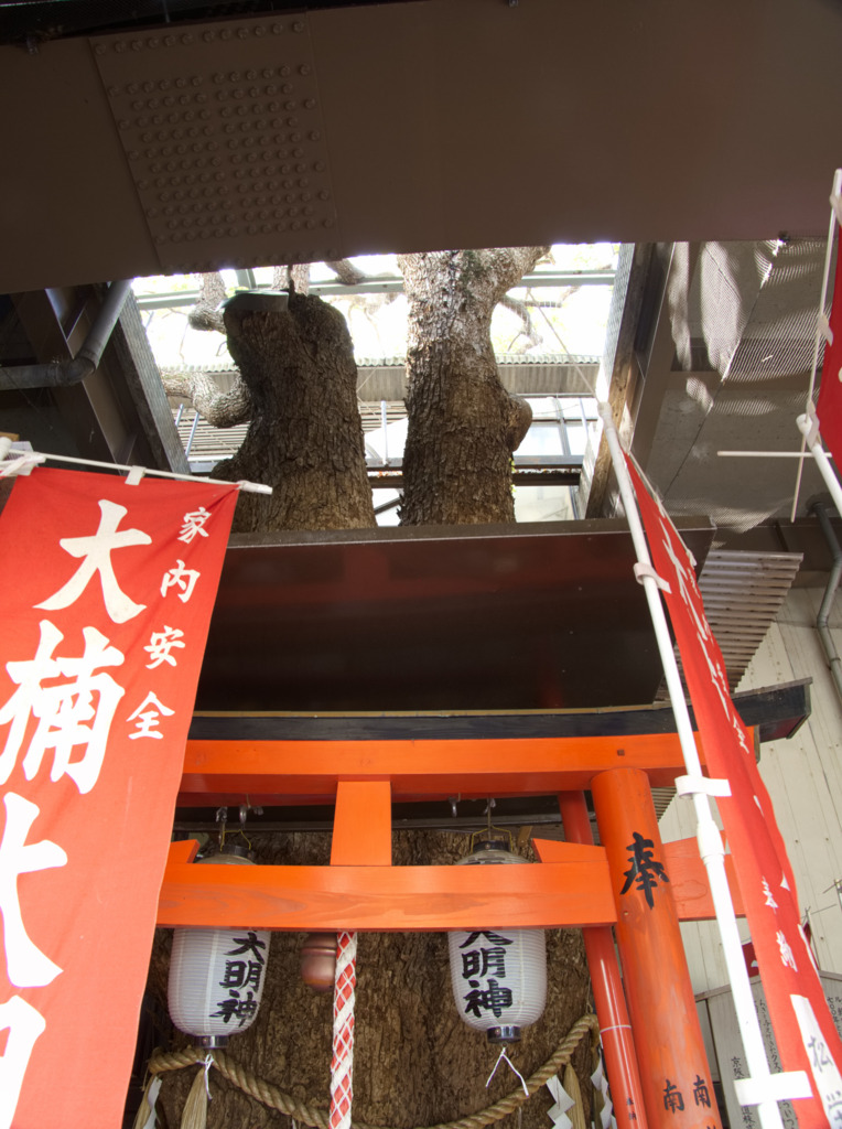 画像8