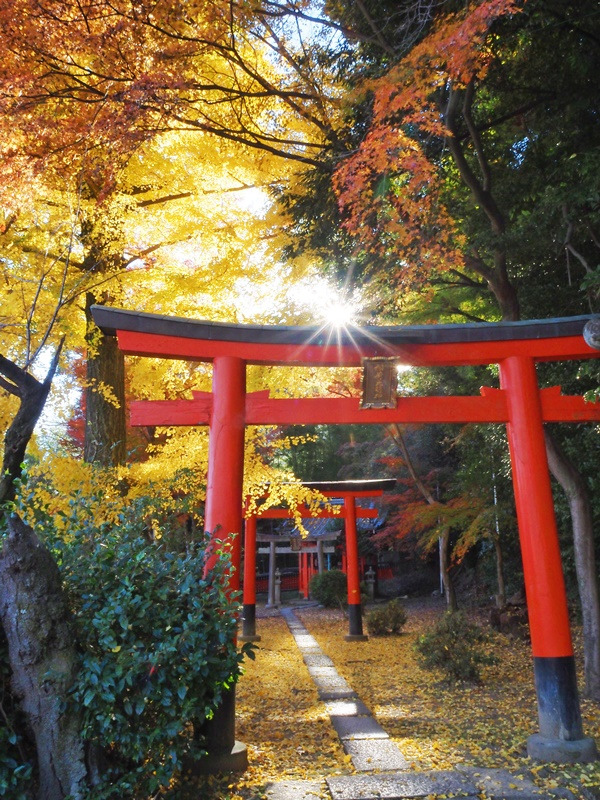 画像7