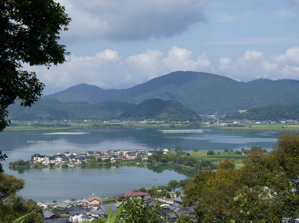 画像4