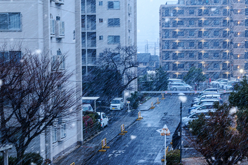 画像2