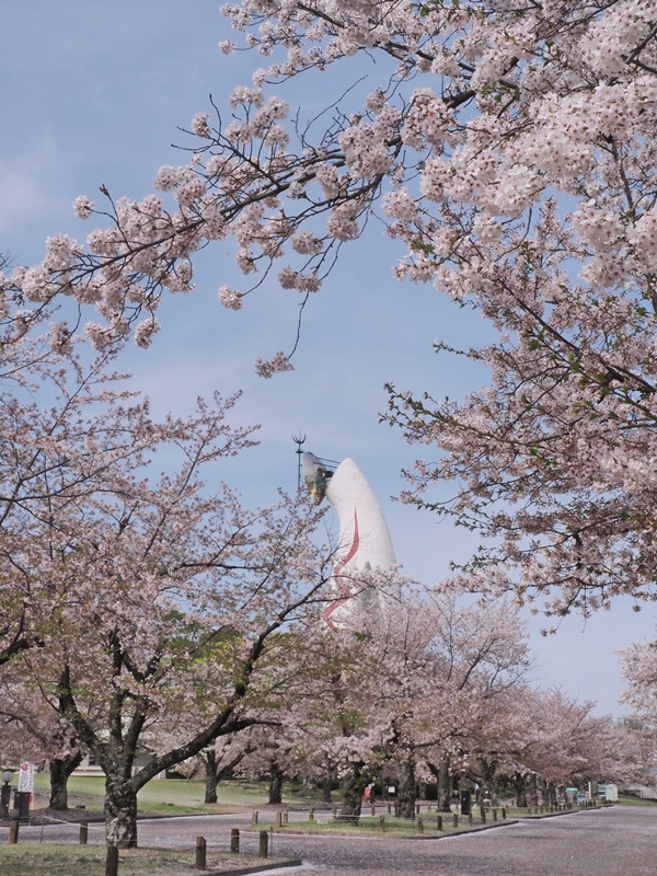 画像6