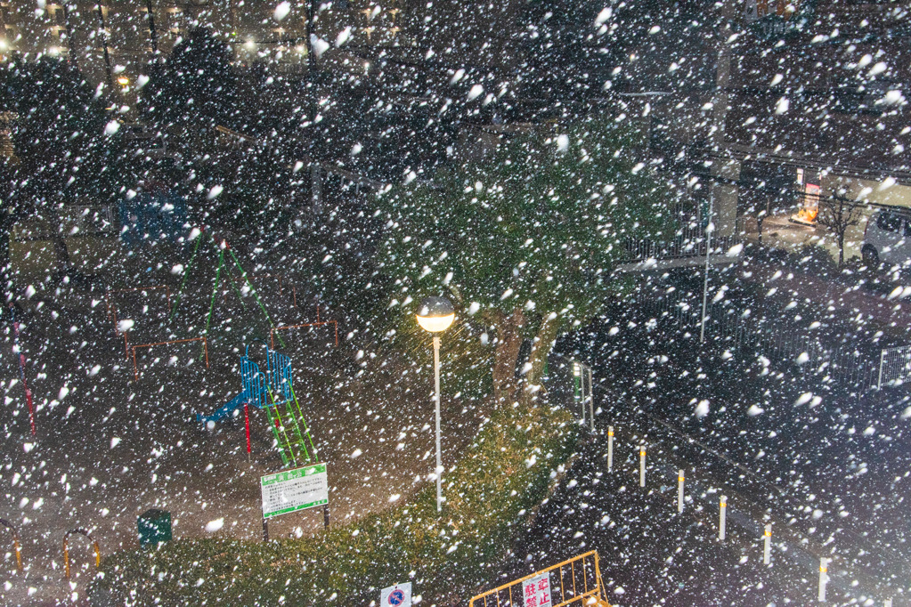 画像1