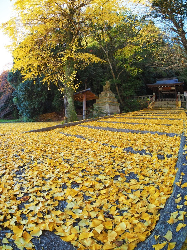 画像9