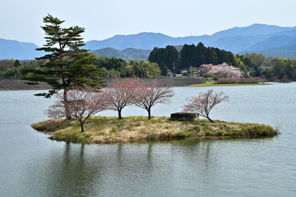 画像2
