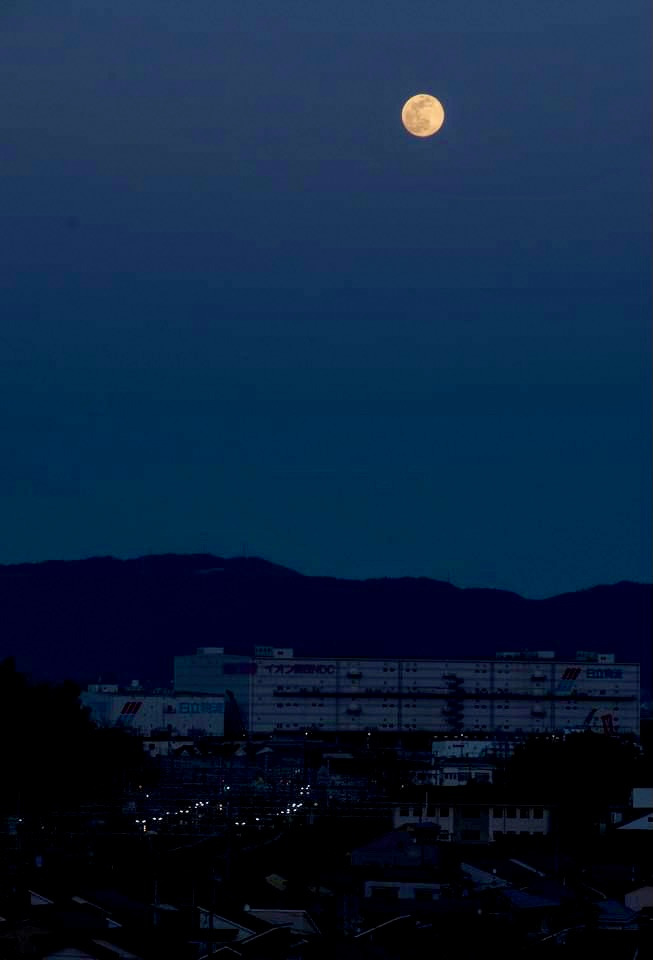 画像1