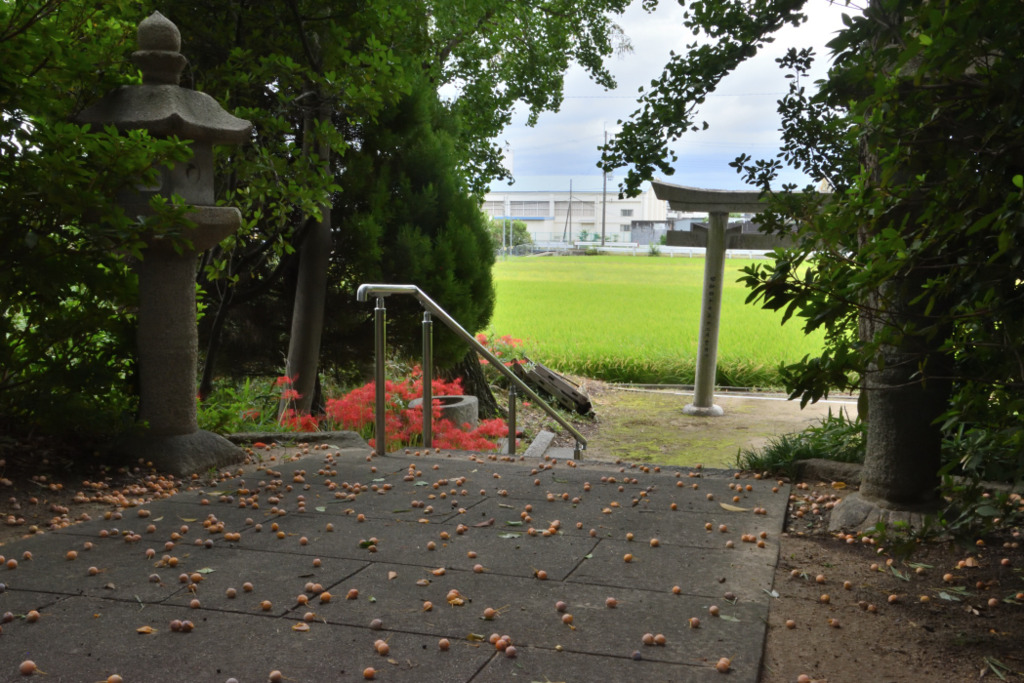 画像6