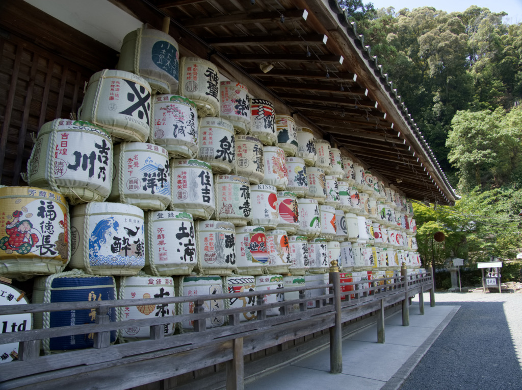 画像7