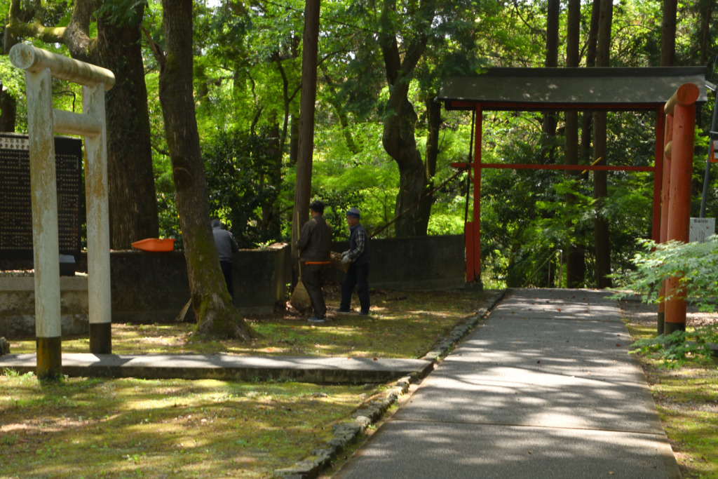 画像1