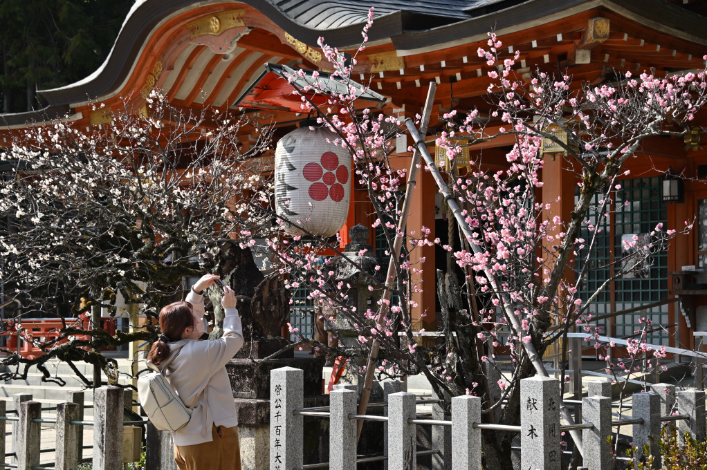 画像5