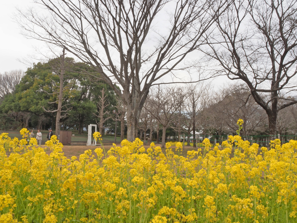 画像7