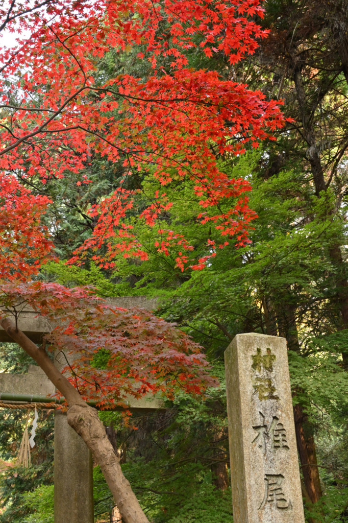 画像2