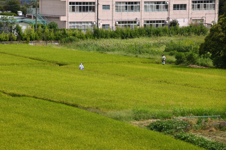 画像4