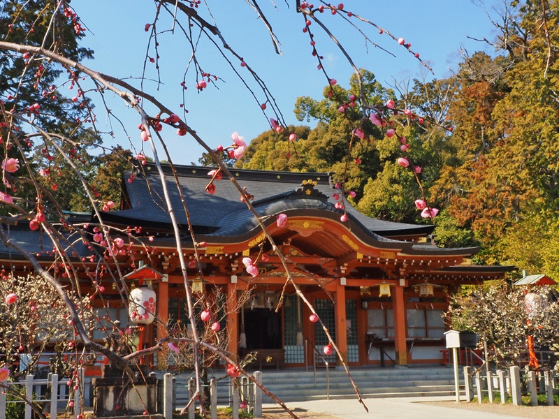 画像7