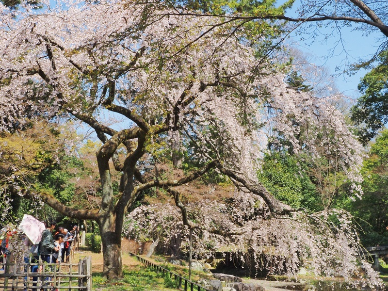 画像8