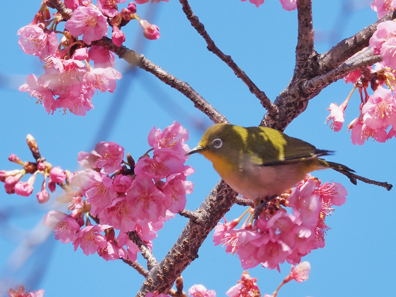 画像5