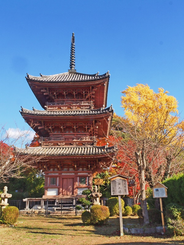 画像3